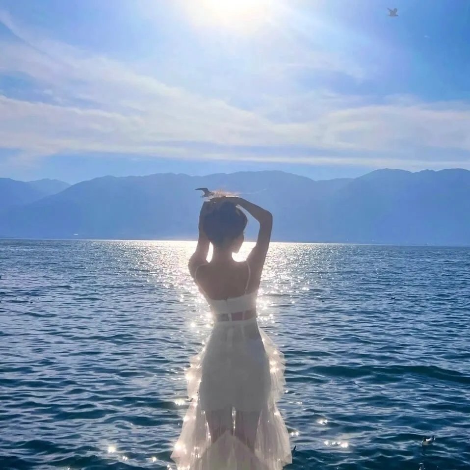 威尔与哈珀：老友公路游